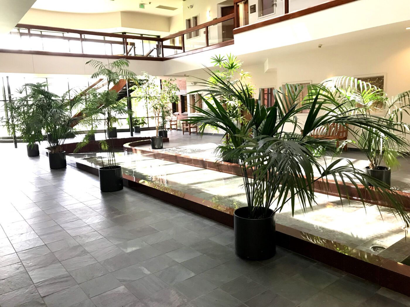lobby water feature and plants