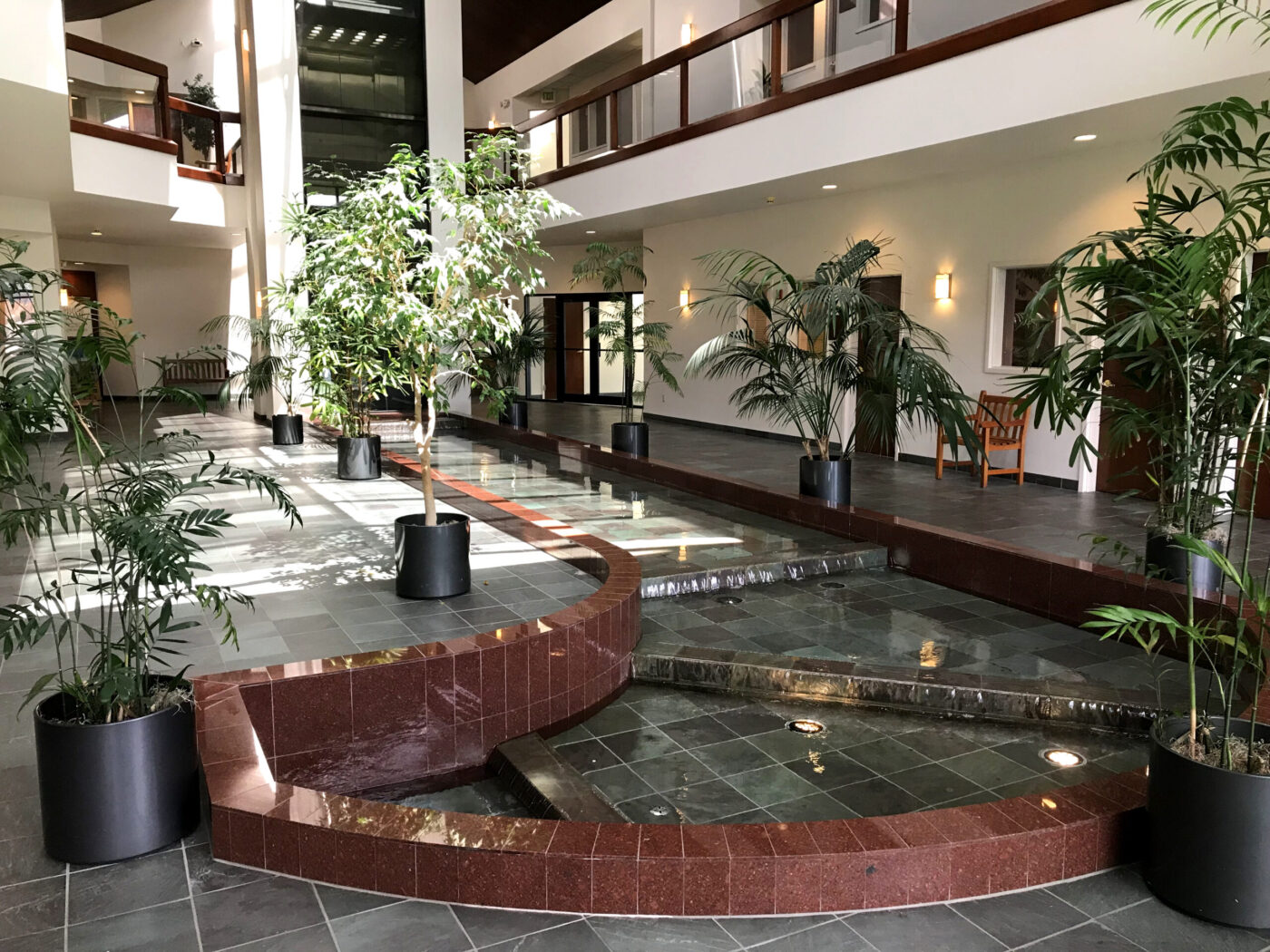 lobby water feature and plants
